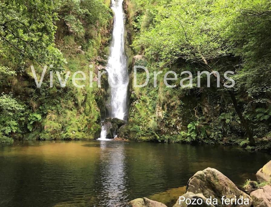 Viveiro Dreams Villa Exterior foto