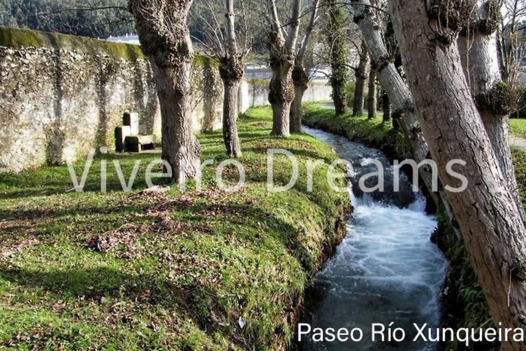 Viveiro Dreams Villa Exterior foto